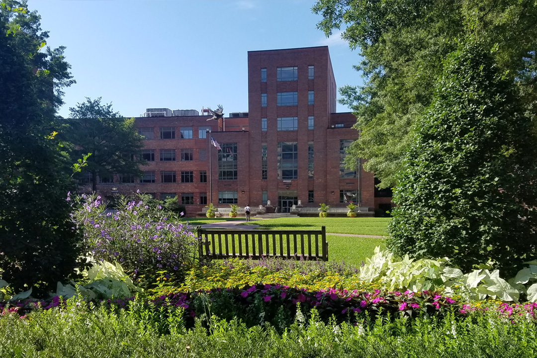GW's University Yard during the spring with blooming flowers and Lisner Hall in the background.